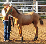 Fenn Side Shot